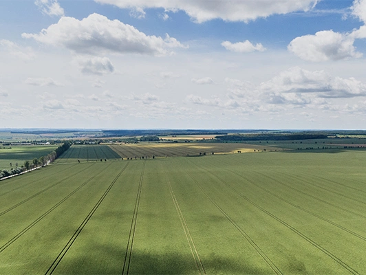 Persönliches Gespräch